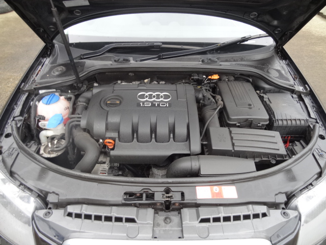 AUDI A3 8PA 2004 - 2010 1.9 - 1896cc 8v TDI BKC diesel Engine Image