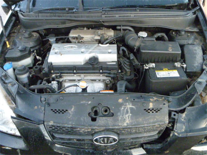 KIA RIO MK 2 JB 2005 - 2024 1.4 - 1399cc 16v G4EE petrol Engine Image