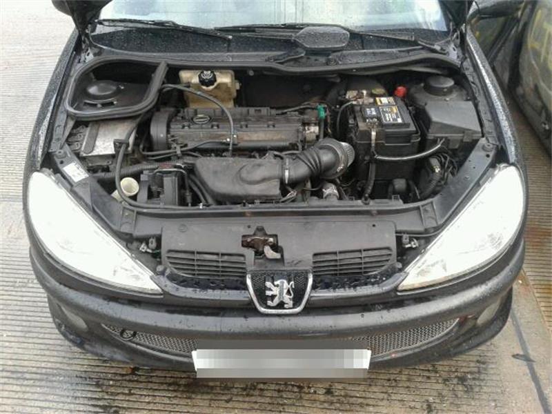 PEUGEOT 206 2A/C 2000 - 2026 2.0 - 1997cc 16v RFN(EW10J4) petrol Engine Image