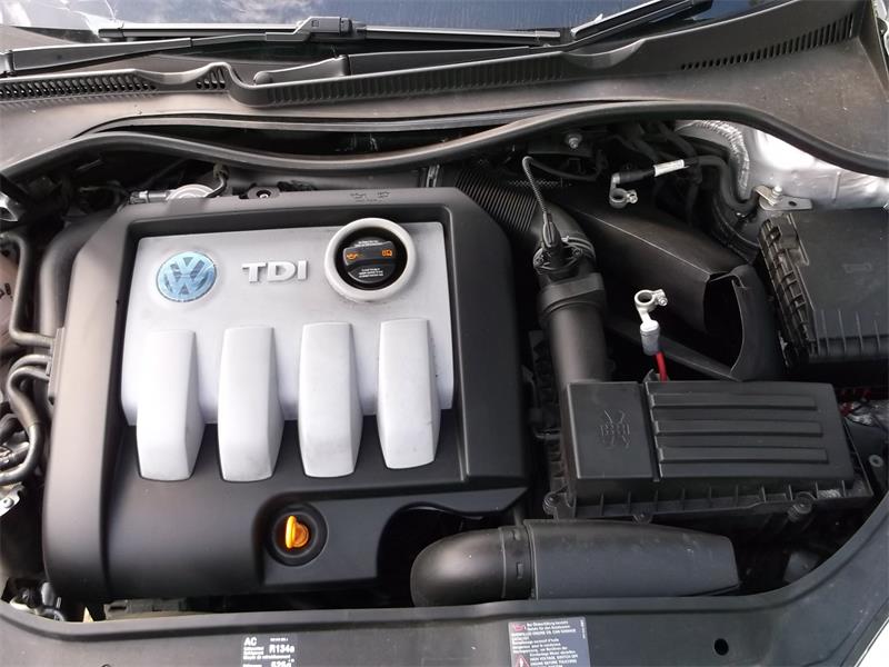 VOLKSWAGEN GOLF PLUS 521 2005 - 2008 1.9 - 1896cc 8v TDI BRU diesel Engine Image