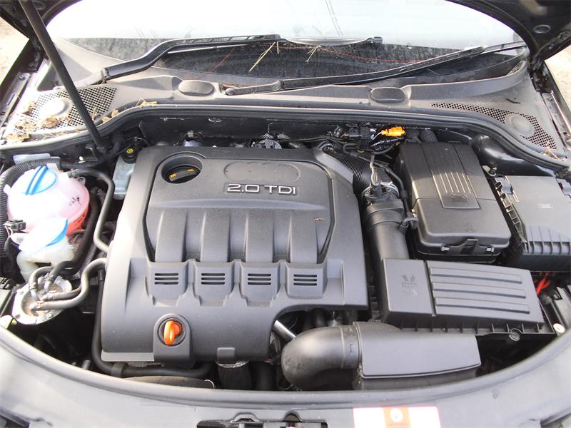 AUDI A3 8PA 2006 - 2008 2.0 - 1968cc 8v TDI BMM diesel Engine Image