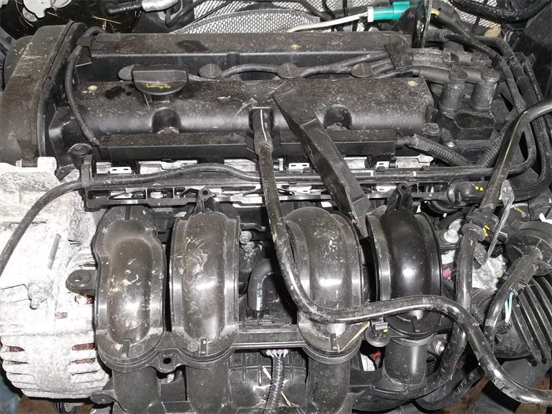 FORD FIESTA MK 5 JH 2003 - 2025 1.3 - 1242cc 16v M7JA petrol Engine Image