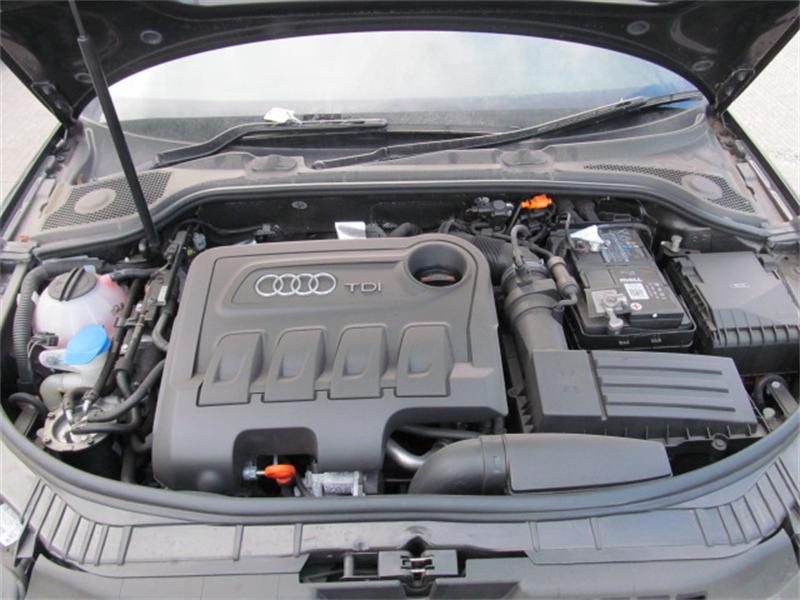 AUDI A3 8P1 2003 - 2012 2.0 - 1968cc 16v TDI AZV diesel Engine Image