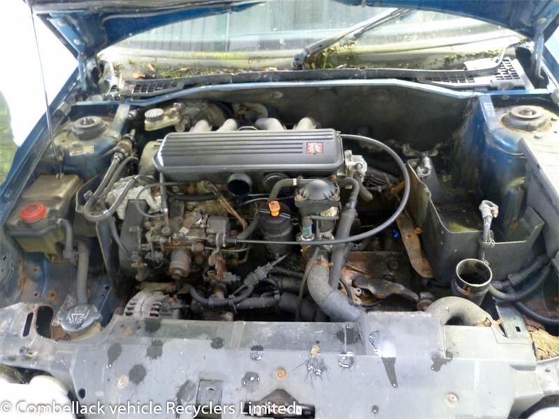 CITROEN ZX N2 1991 - 1997 1.9 - 1905cc 8v DKZ(XU9JA) petrol Engine Image