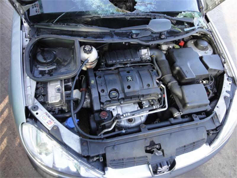 PEUGEOT 206 2A/C 2000 - 2025 1.6 - 1587cc 16v NFU(TU5JP4) petrol Engine Image